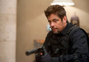 Alejandro sicario wiki