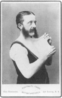 Wehrle
