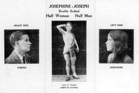 Josephine Joseph