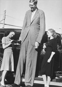 ‪Robert Wadlow‬‏ کیلئے تصویری نتیجہ