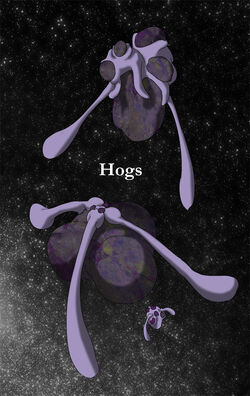 Hog2