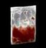 Bagwithblood