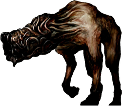 Wormhead