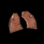 Plastic lungs