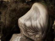 Raw Shock Silent Hill Wiki Fandom