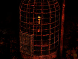 Bird Cage Key2