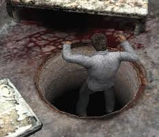 Henryhole