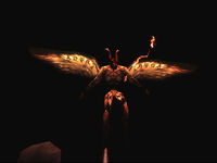 Incubus Hovering