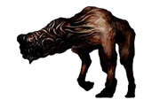 Wormhead