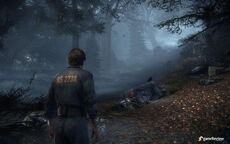 SilentHillForest