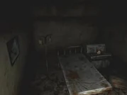 Hospitalalchemilla19.jpg (3 KB) Hospitalalchemilla19