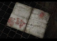 Leonard's Diary