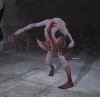 ImagesCAOANR9H