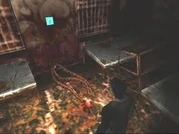 Hospitalalchemilla20.jpg (7 KB) Hospitalalchemilla20