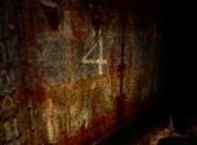 Alchemilla4.jpg (4 KB) Alchemilla4