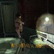 Hospitalalchemilla8.jpg (7 KB) Hospitalalchemilla8