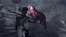 Feralattack