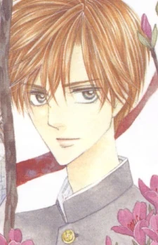 Rakan Sawa Silver Diamond Wiki Fandom