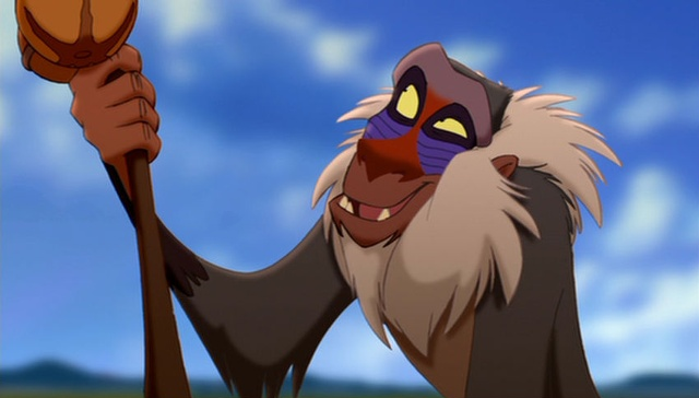 Image result for rafiki