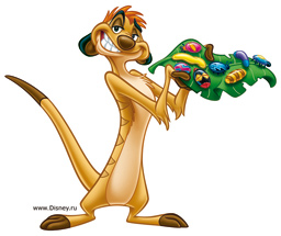 Timon
