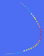 Everett's Path