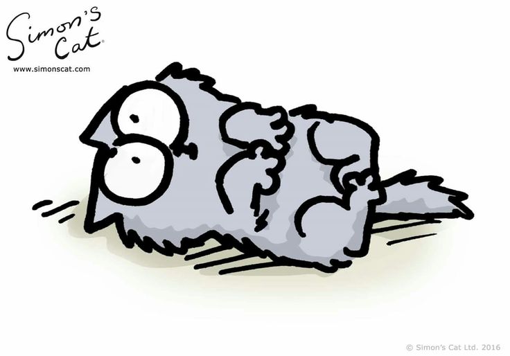 The Kitten Simon's Cat Wiki Fandom