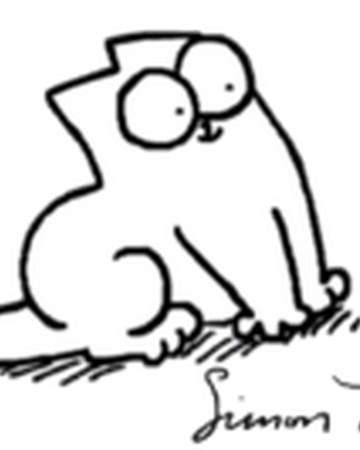 simon's cat in real life