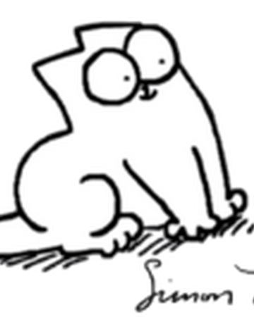 simon's cat teddy