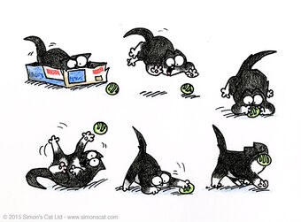 simon's cat teddy