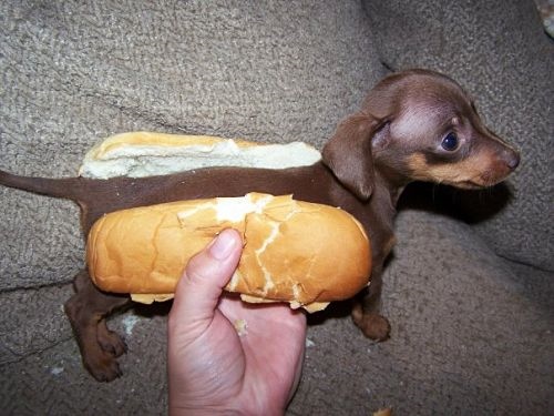 DoingItWrong