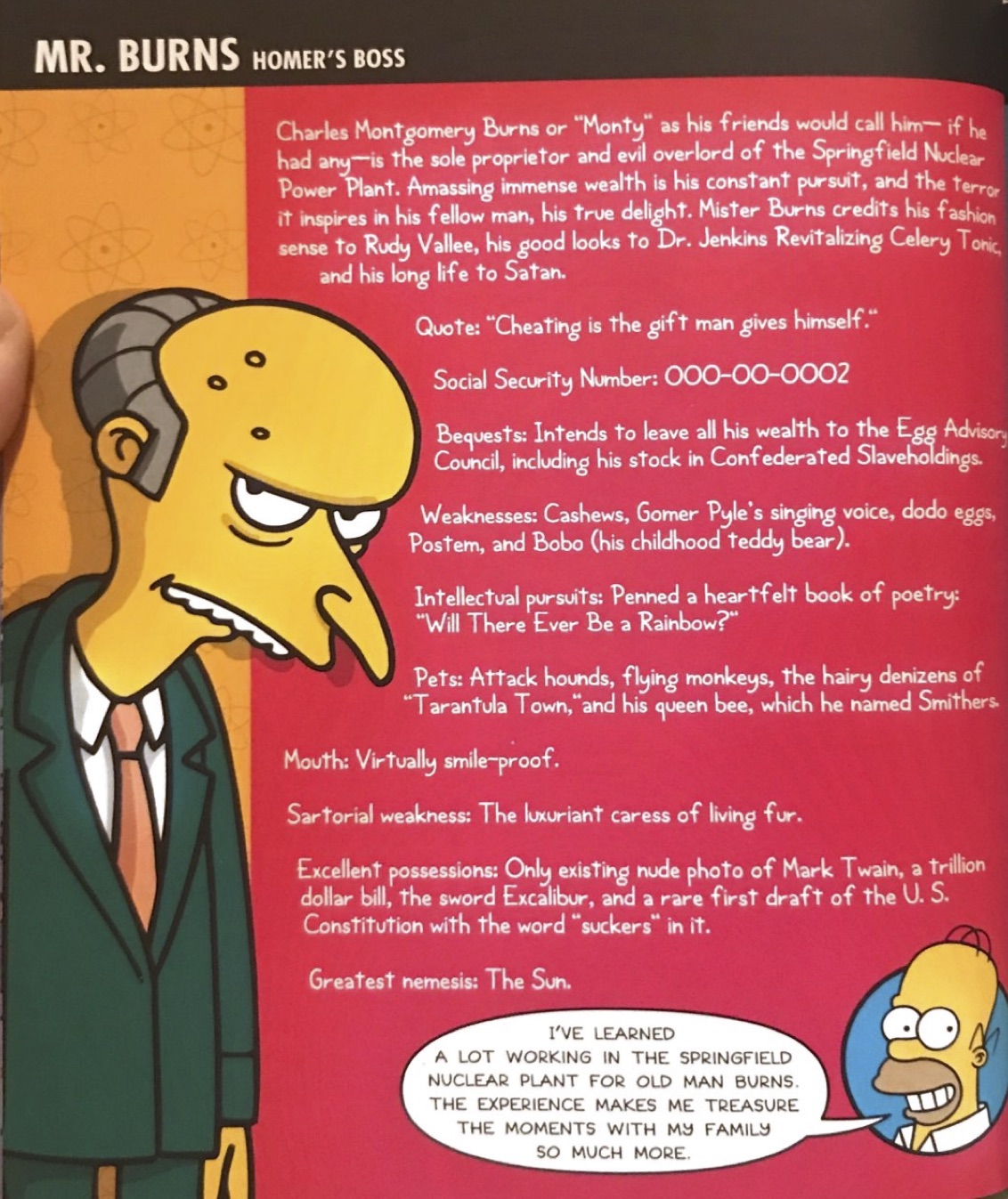 mr burns chase