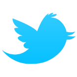 Twitter bird icon