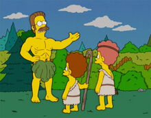 Flanders homevideo
