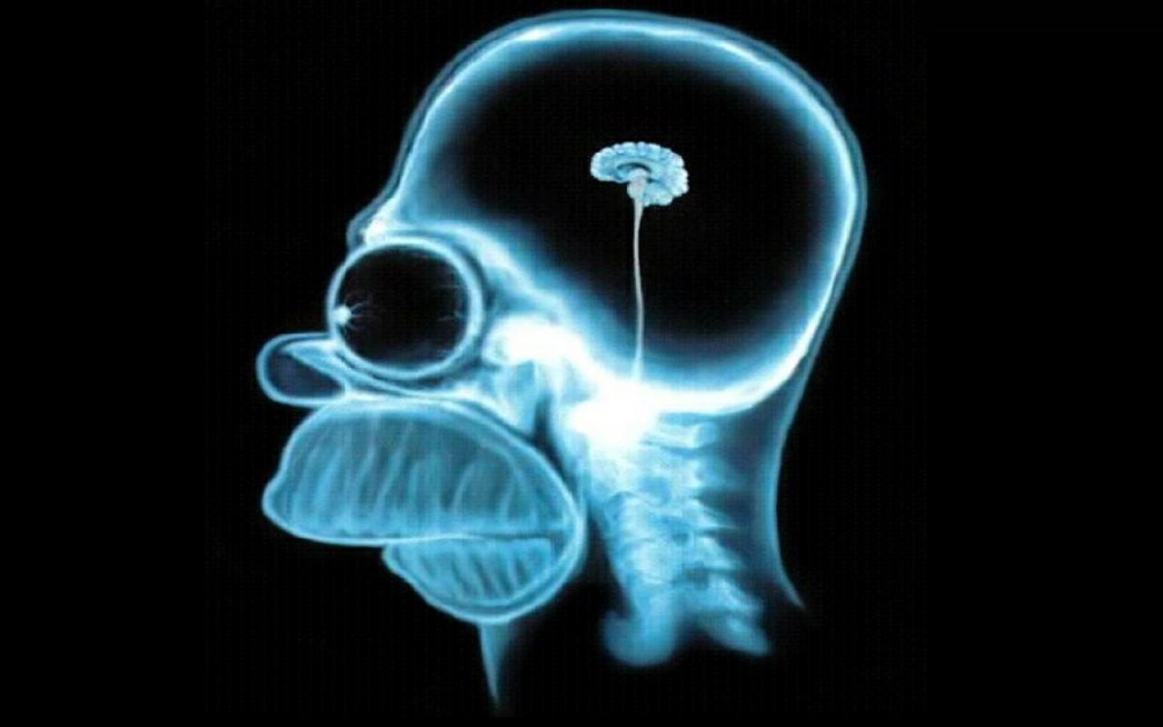 Afbeeldingsresultaat voor homer simpson brain