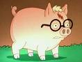 Harry Porco