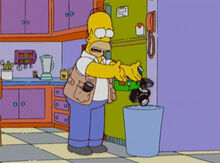 Homer camera fotografica lixo