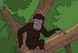 Monkey sniff