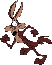 Wile E Coyote 300