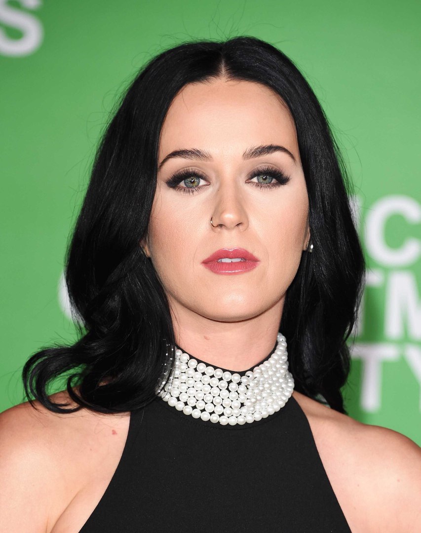 Katy Perry | Simpsons Wiki | Fandom