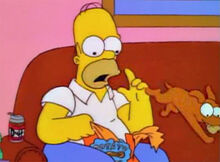 Homer 06x20
