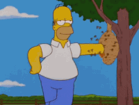 Homer i ul
