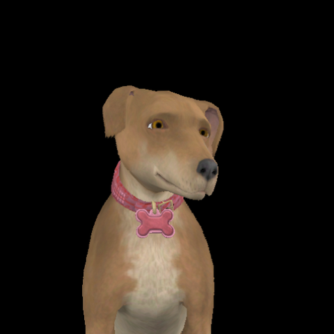 File:Ditz Riffin.png