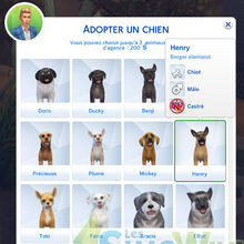 Blog Utilisateuraster09aperçu Les Sims 4 Chiens Et Chats