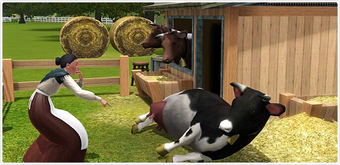 Znalezione obrazy dla zapytania: the sims 4 cows
