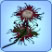 Chrysanthème