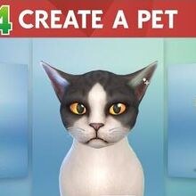 The Sims 4 Cats Dogs The Sims Wiki Fandom