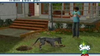 Die Sims 2 Haustiere Die Sims Wiki Fandom
