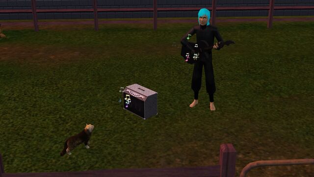 File:Cat and sim.jpg