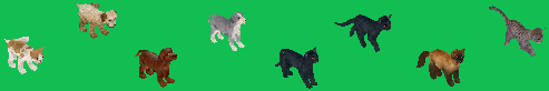 Strays1