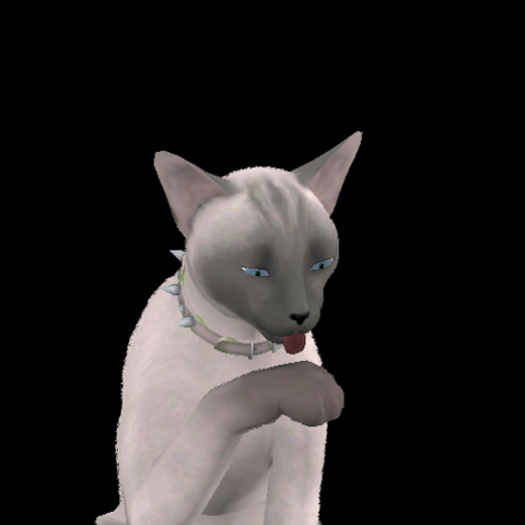 File:Minette Bird.png